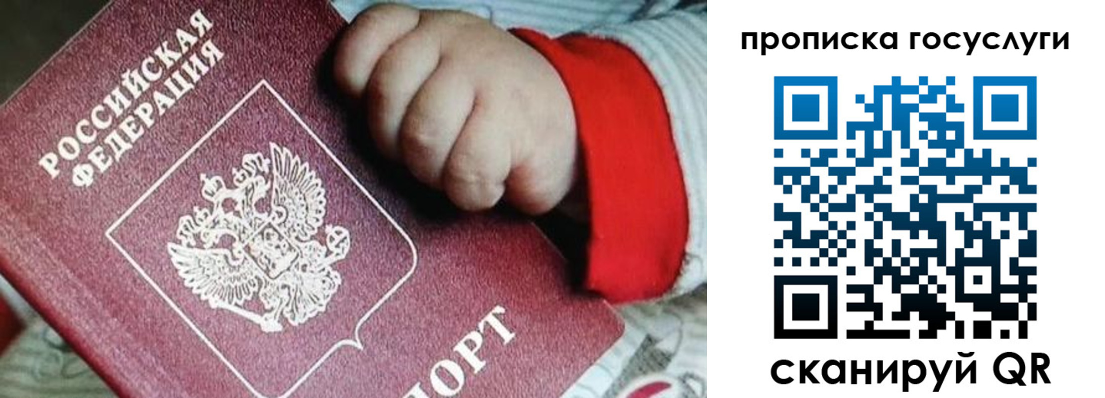 прописка штамп в Торопеце